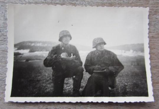 Waffen SS Photograph with 2 Waffen SS Soldiers