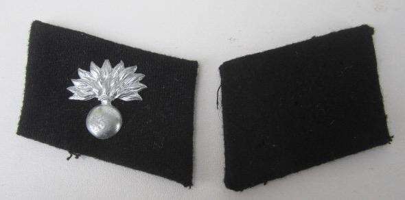 WaffenSS Landstorm Nederland Collar Patches