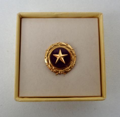 US Goldstar Mother Pin