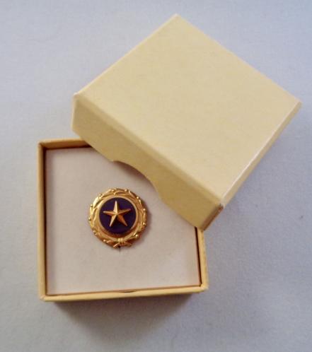 US Goldstar Mother Pin