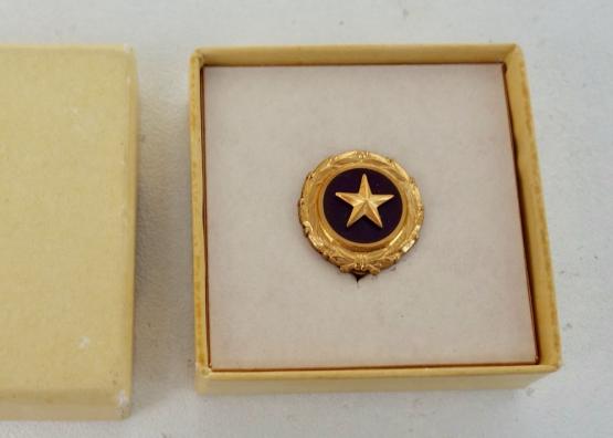 US Goldstar Mother Pin