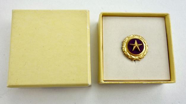 US Goldstar Mother Pin