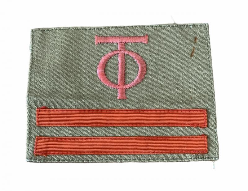 Organisation Todt Cloth rank Insignia