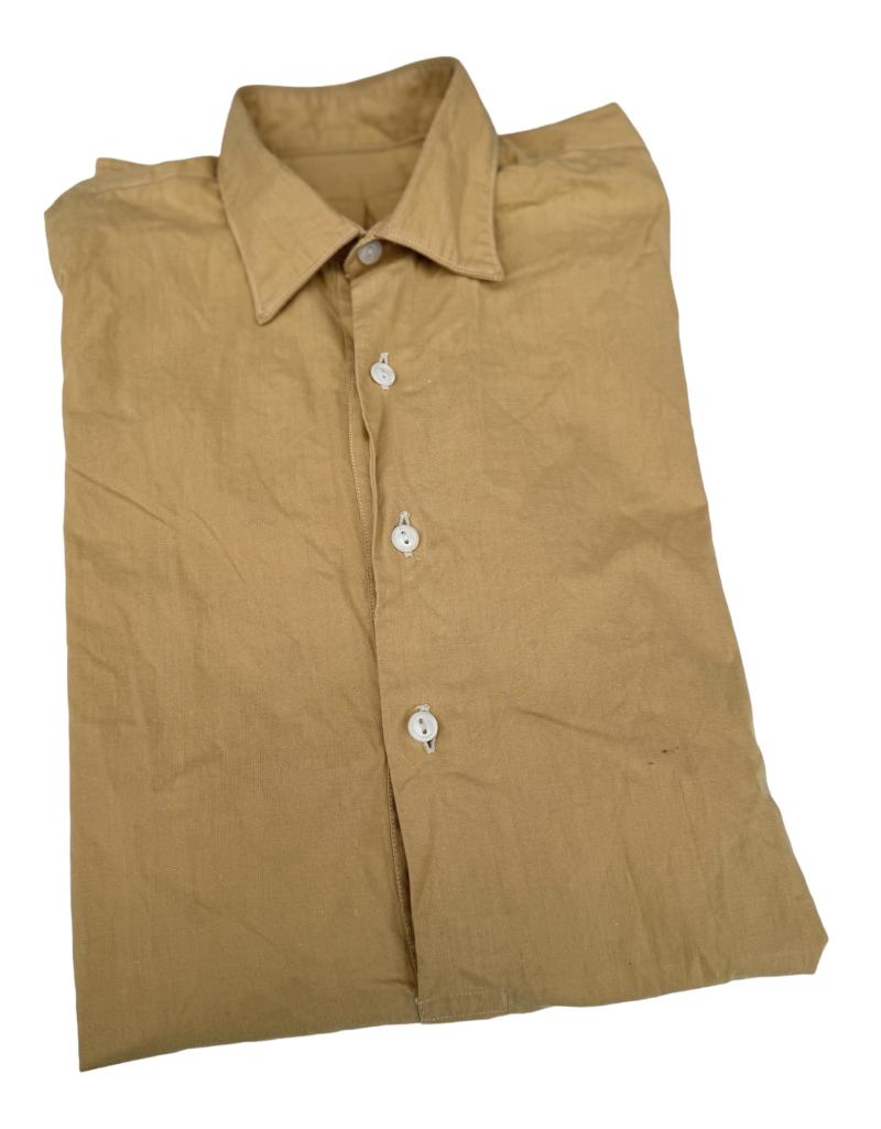 SA/AlgemeineSS brown Shirt