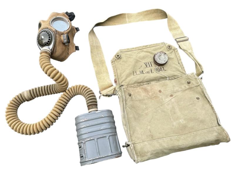 British WW2 1th type Gasmask and Carrying Bag