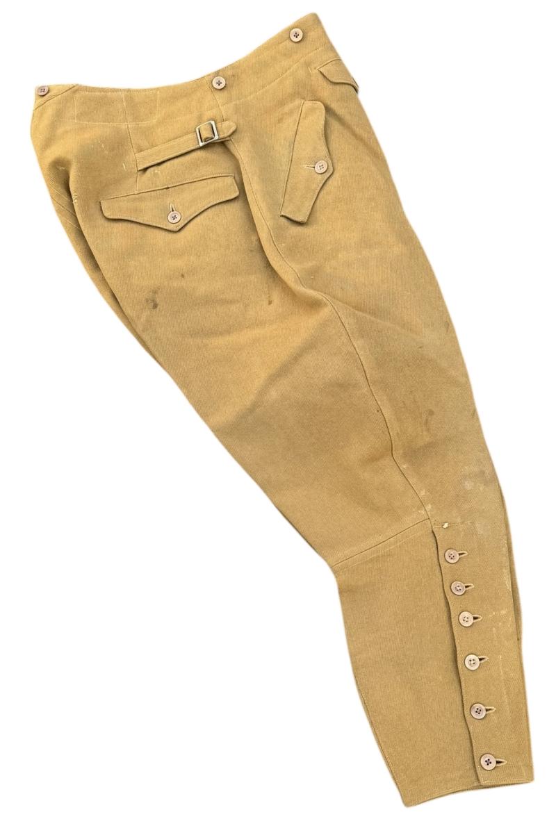 NSDAP Leader Breeches