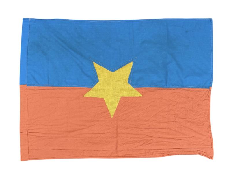 Vietcong Flag (Vietnam War 1955-1976)