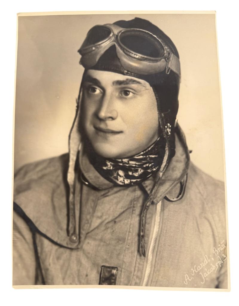 Big size portrait photograph Lufwaffe Pilot